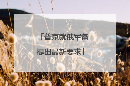 普京就俄军备提出最新要求